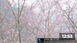 2890305207_VcgbUtKB_006a7b256794195c26684080862e1c4499e35b1b.png