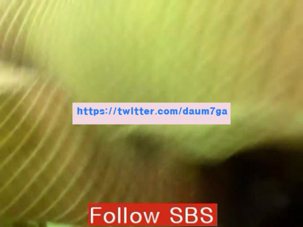 15328613720733.jpg